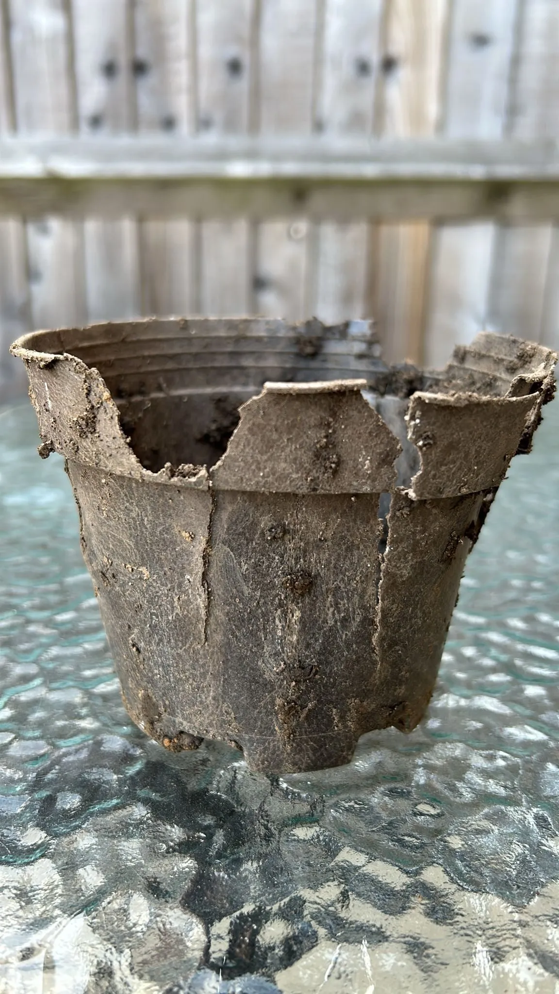 A pot dug up from a garden bed after months in the soil, its walls breaking apart