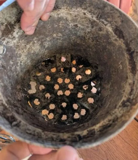 The base of a used pot crumbling around its drainage holes