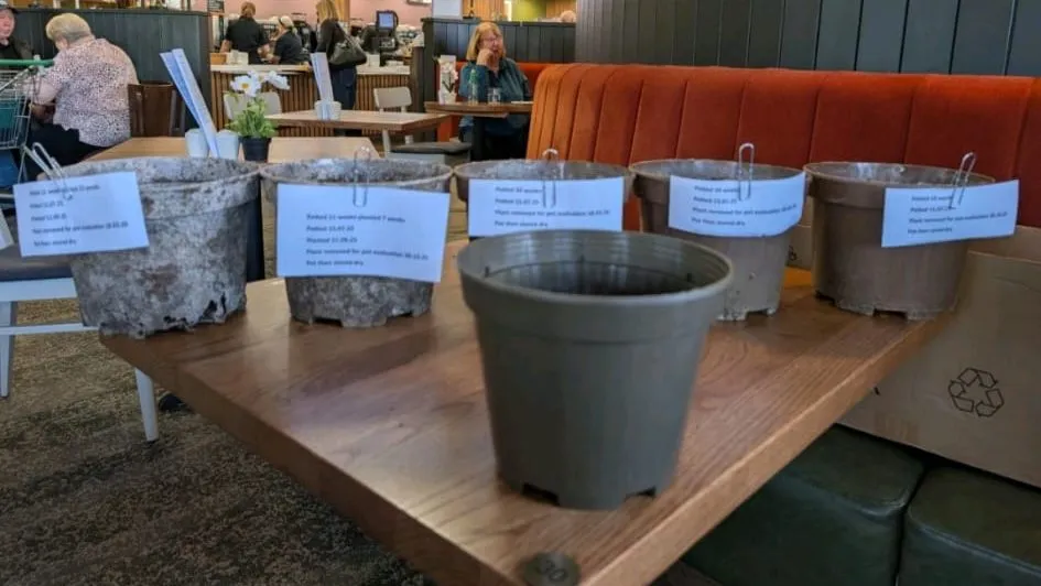 Five weathered pots lifted from the soil behind one new pot